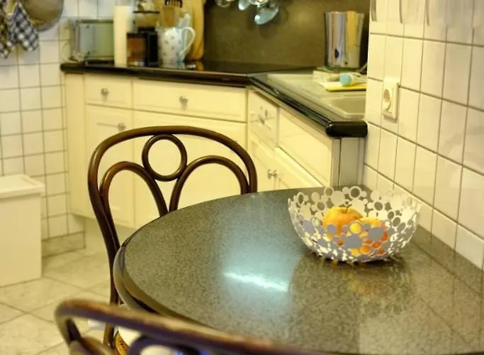 Altbauapartment Am Stadtpark Mit Uhrturmblick Daire